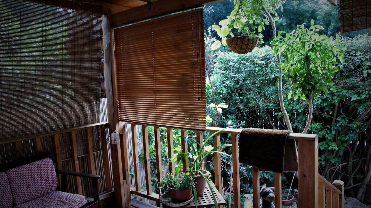 Cosy Near Idc & Center- *